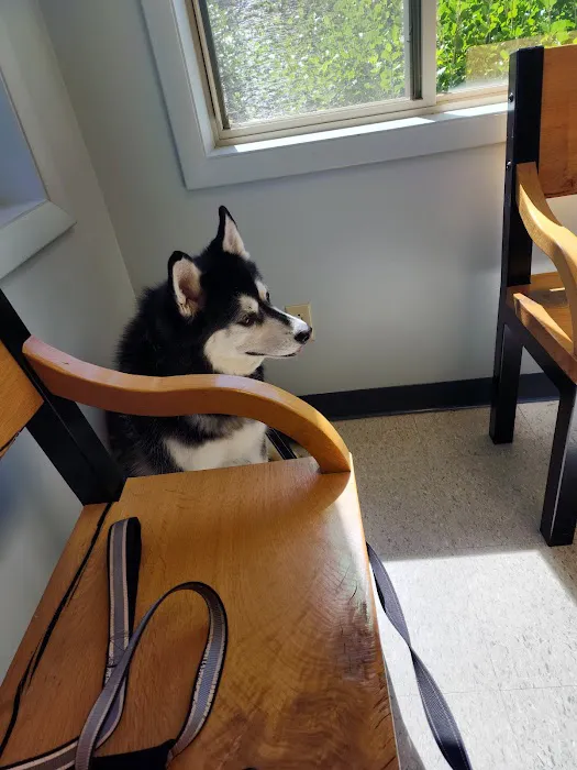 Bancroft Veterinary clinic 12