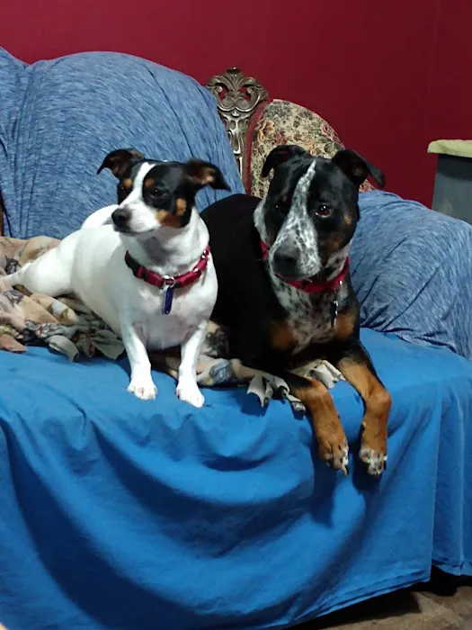 Heritage Acres Veterinary Services 12