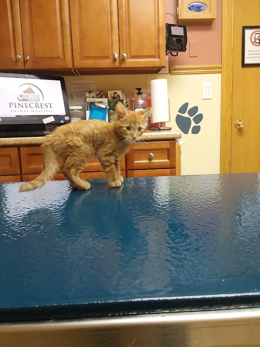Pinecrest Animal Hospital 12