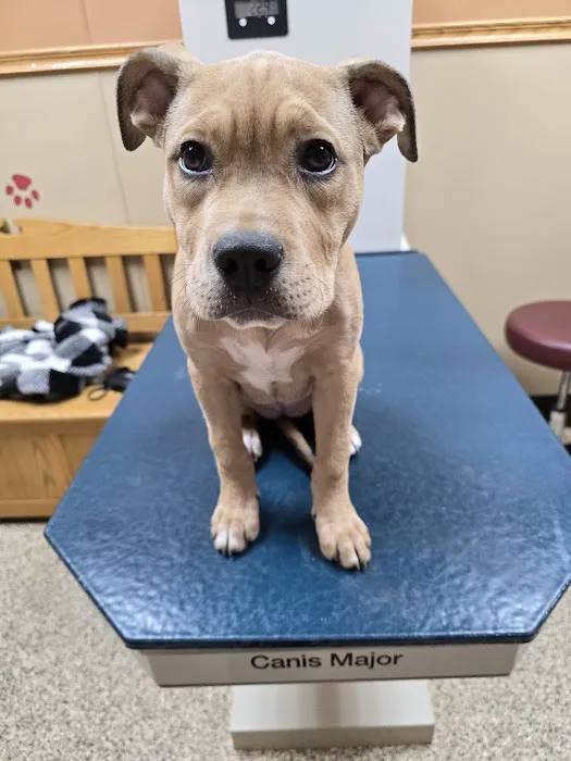 Pinecrest Animal Hospital 12