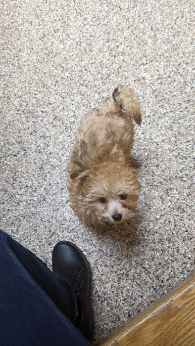 Pinecrest Animal Hospital 12