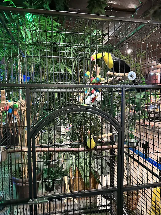 Pet Kingdom 6