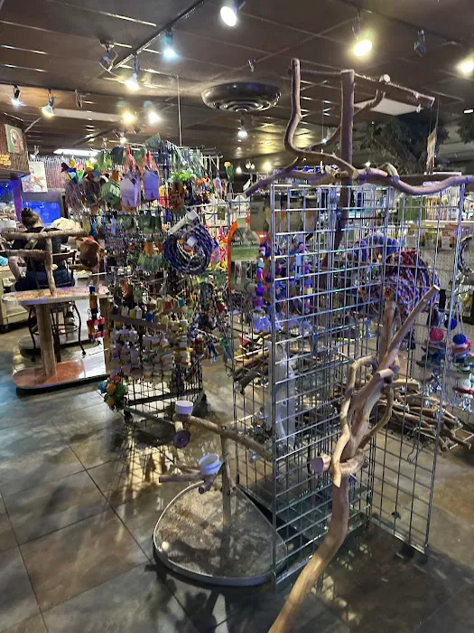 Pet Kingdom 2