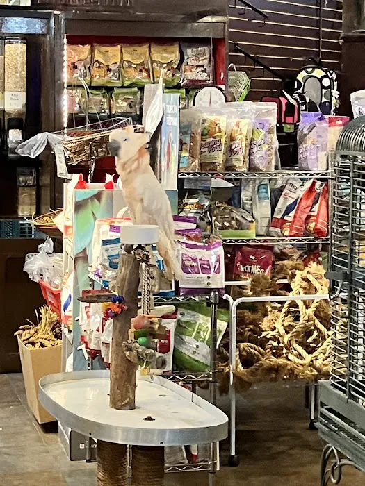 Pet Kingdom 5