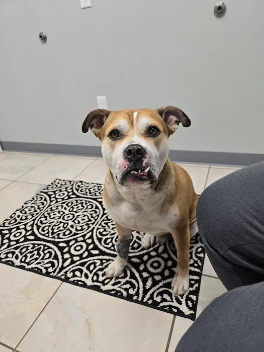 Animal Health Clinic (accepting new patients) 3