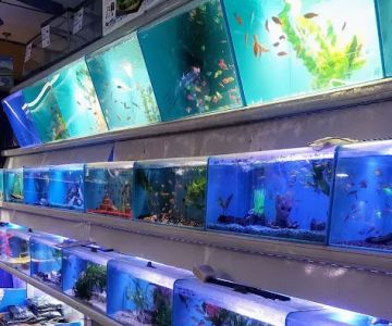 Aquariums and Reef Center