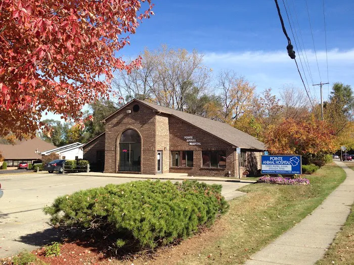 Pointe Animal Hospital 8