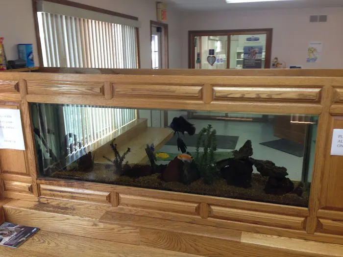 Pointe Animal Hospital 6