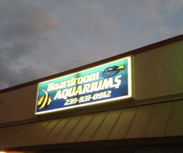 Boardroom Aquariums