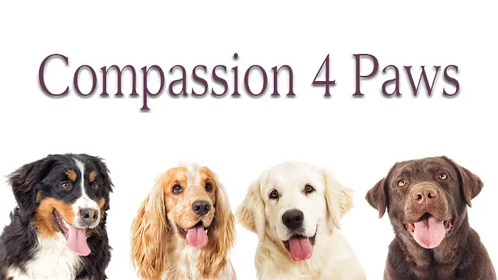 Compassion 4 Paws Veterinary Healing Center 12