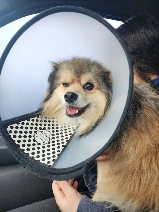 Compassion 4 Paws Veterinary Healing Center 12