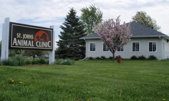 St Johns Animal Clinic 12