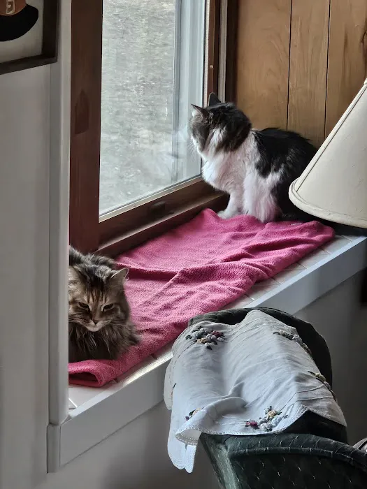 Grand Ledge Veterinary Hospital 7
