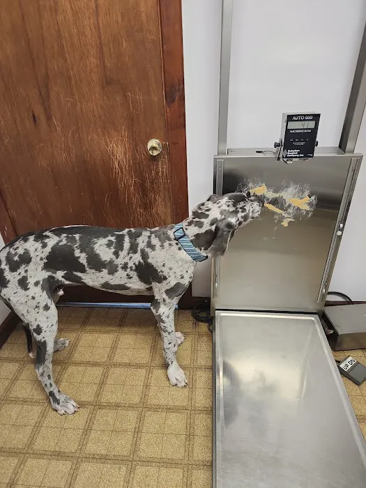 Grand Ledge Veterinary Hospital 6