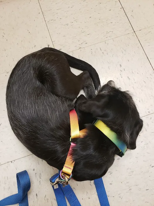 Banfield Pet Hospital 12
