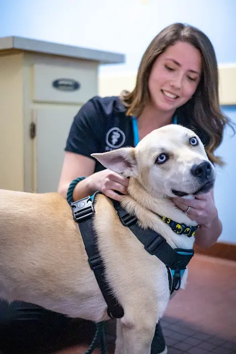 Miller Animal Clinic 12