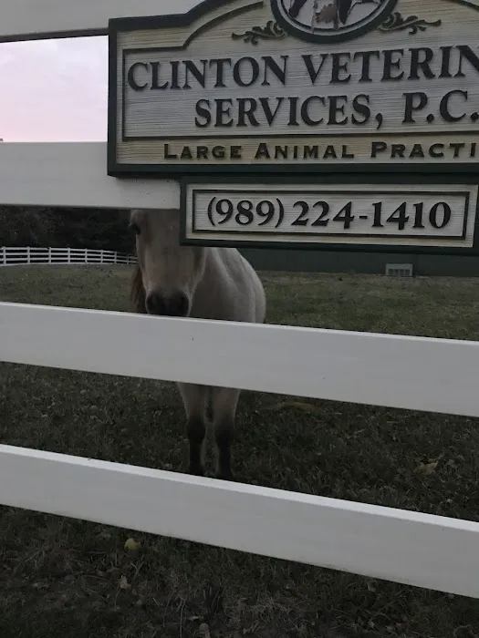 Clinton Veterinary Services: Seifferlein R W DVM 12