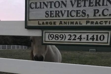 Clinton Veterinary Services: Seifferlein R W DVM