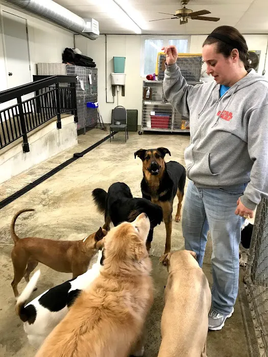 Waverly Animal Hospital Boarding Grooming & Wellness Center 6