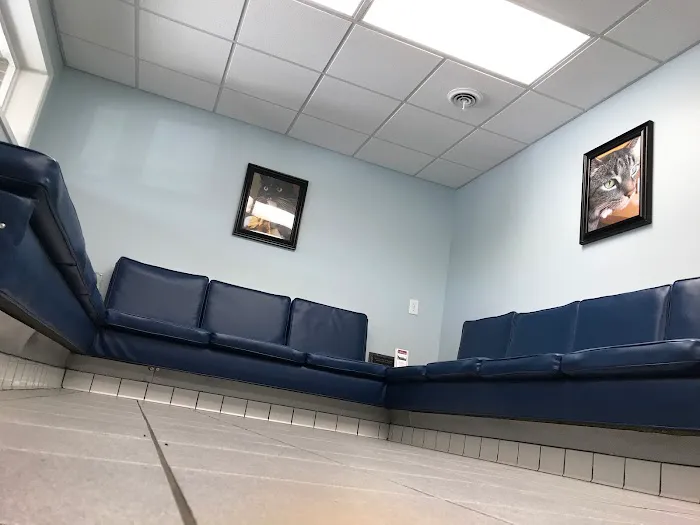 Waverly Animal Hospital Boarding Grooming & Wellness Center 10
