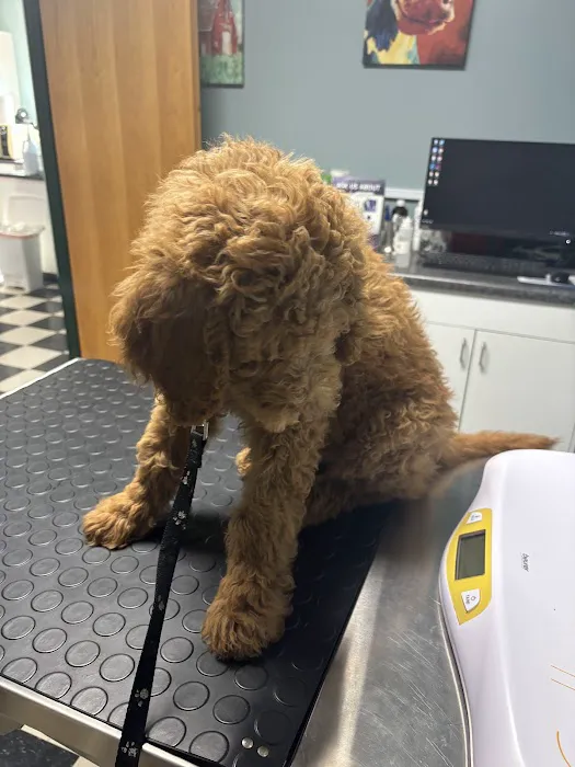 Southside Veterinary Clinic with Bed & Biscuit Boarding 2