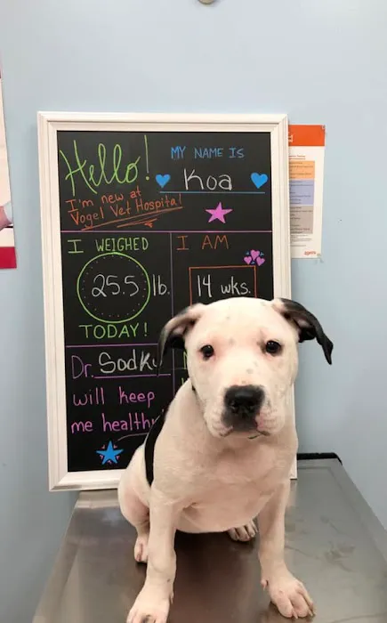 Vogel Veterinary Hospital 6