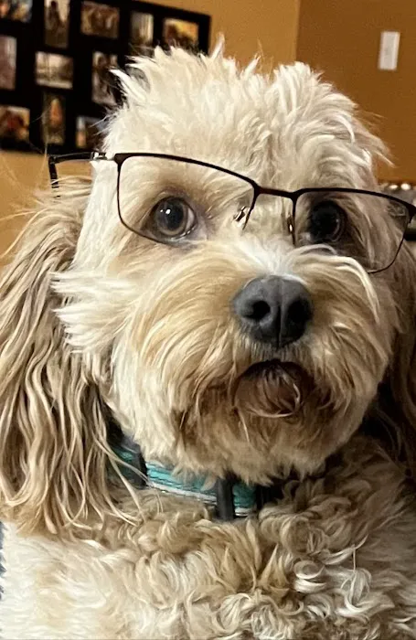 Vogel Veterinary Hospital 5