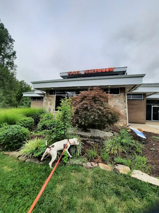 Vogel Veterinary Hospital 8