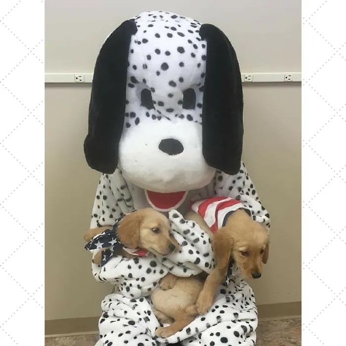 Vogel Veterinary Hospital 10