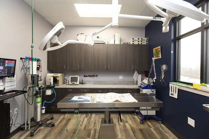 Animal House Veterinary Hospital 2