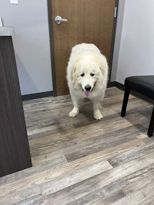 Animal House Veterinary Hospital 4
