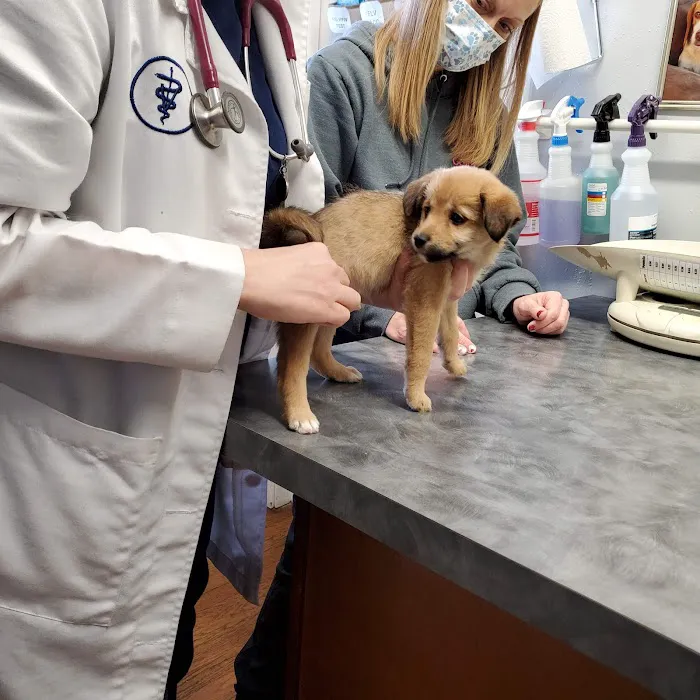 Animal House Veterinary Hospital 5