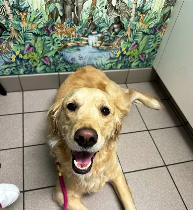 Binder Animal Hospital 3