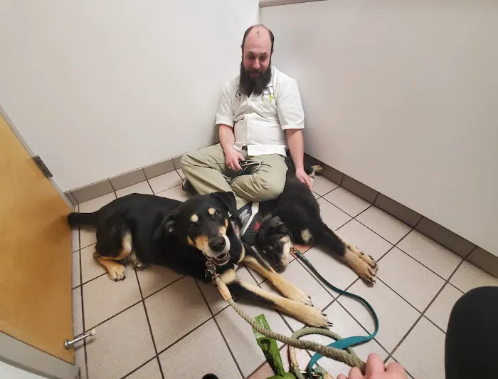 Binder Animal Hospital 6