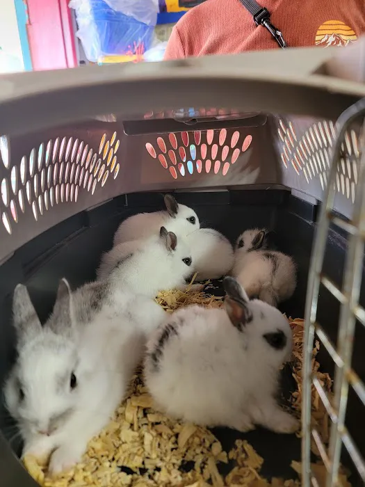 EL PATRON Pet Supply 12