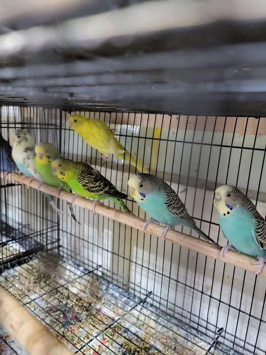 EL PATRON Pet Supply 12