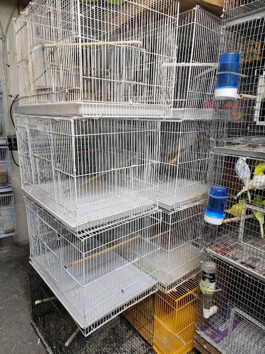 EL PATRON Pet Supply 12