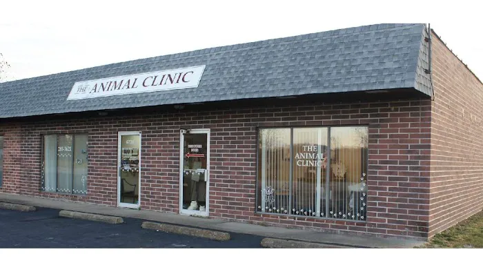 The Animal Clinic 10