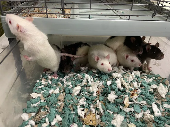 Noah's Ark Veterinary Office 1