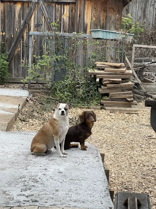 Noah's Ark Veterinary Office 6