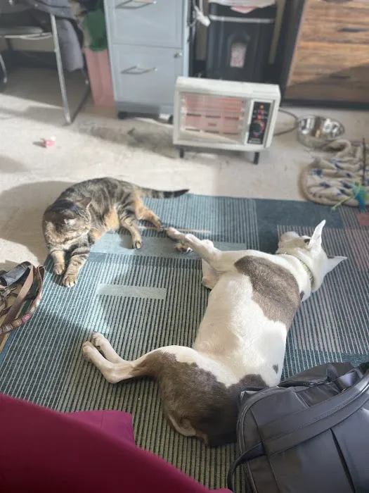 Noah's Ark Veterinary Office 9