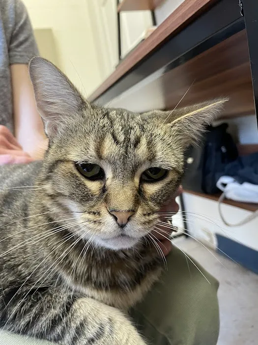 Noah's Ark Veterinary Office 8