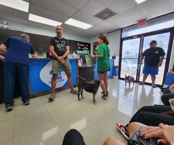 Puppies To Go