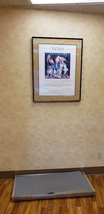 St Louis Hills Veterinary Clinic 12