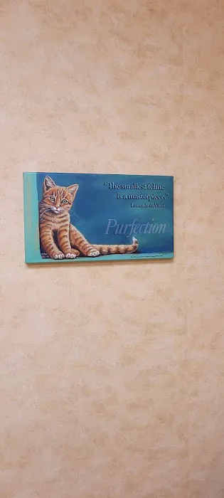 St Louis Hills Veterinary Clinic 12