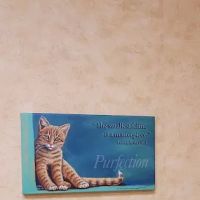 St Louis Hills Veterinary Clinic ico