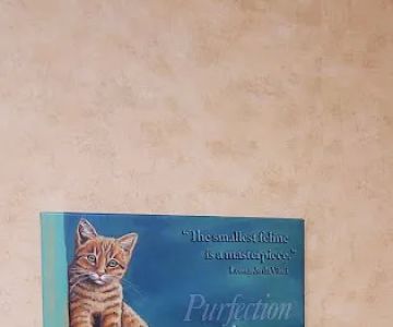 St Louis Hills Veterinary Clinic