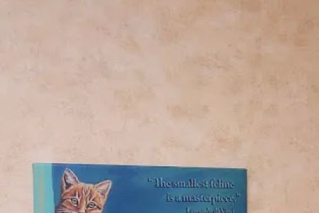 St Louis Hills Veterinary Clinic