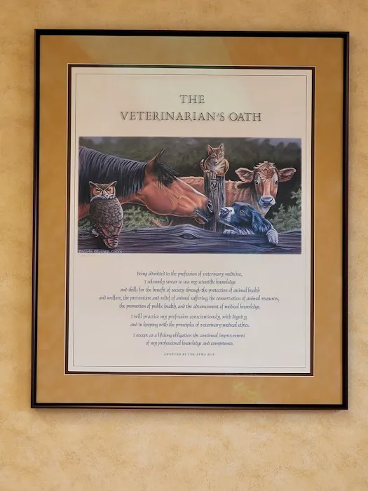 St Louis Hills Veterinary Clinic 12
