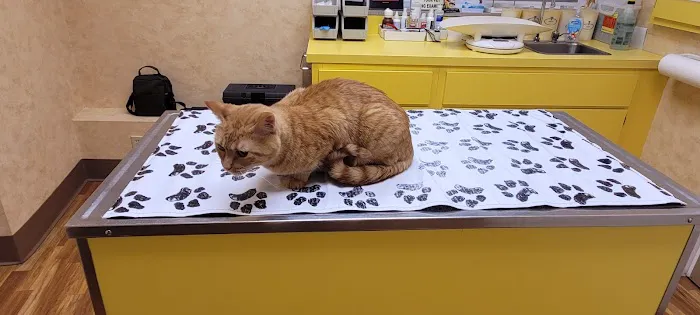 St Louis Hills Veterinary Clinic 12